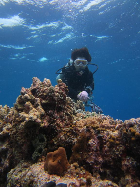 Nusantara Diving Centre Resort & Spa 美娜多 外观 照片
