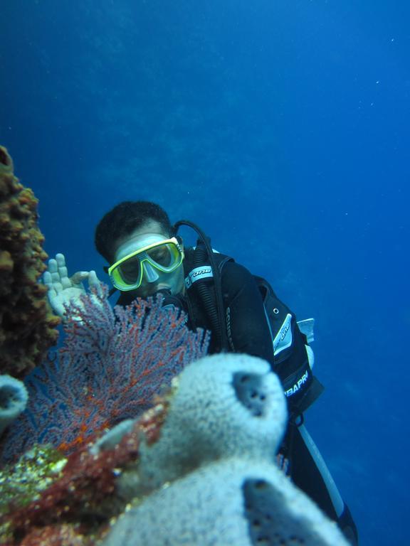 Nusantara Diving Centre Resort & Spa 美娜多 外观 照片