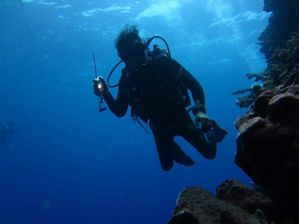 Nusantara Diving Centre Resort & Spa 美娜多 外观 照片